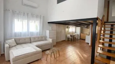 Pis – Alicante - Alacant - Vista 4