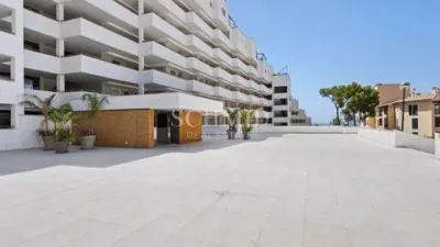 Apartment in Portals Nous-Bendinat photo 14