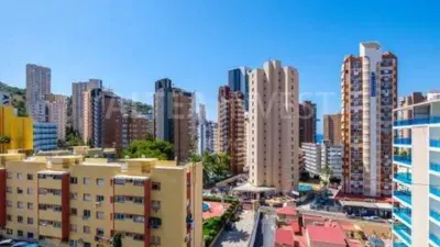 Flat on Calle de Londres photo 16