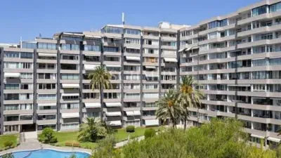 Apartment in Portals Nous-Bendinat photo 16