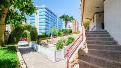 Flat on Calle de Londres photo 14