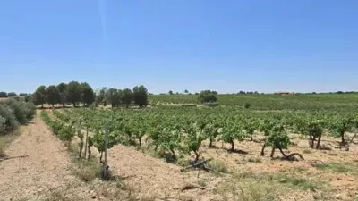 Rustic property in Villarrobledo photo 31