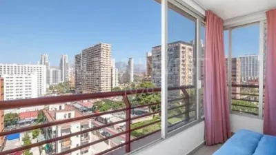 Pis – Benidorm - Vista 5