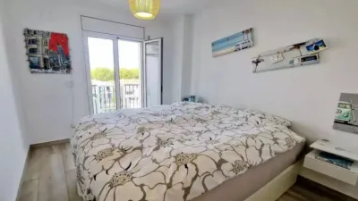 Apartment in Sector Port Alegre photo 13