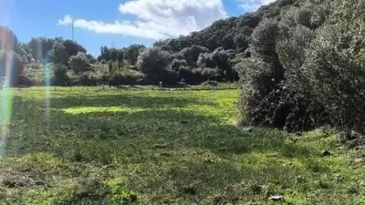 Rustic house in Tarifa photo 7
