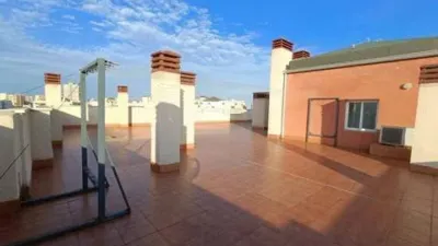 Apartment in L'Altet-Els Bassars photo 92