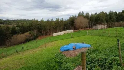 Rustic house in Ortigueira photo 42