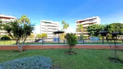 Apartment in L'Altet-Els Bassars photo 67