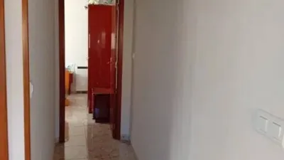 Miniatura 11