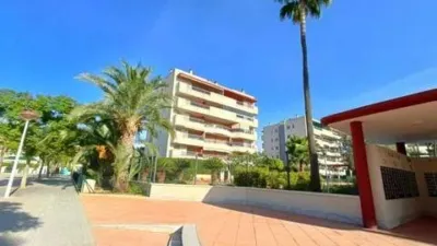 Apartment in L'Altet-Els Bassars photo 86