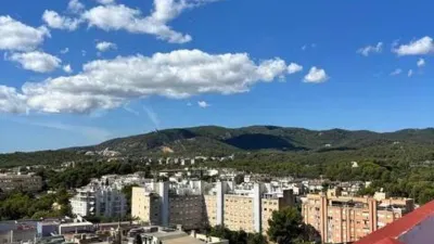 Apartment on Carrer de Dragonera photo 4