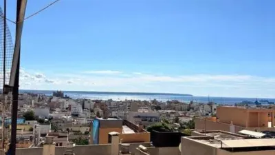 Apartment on Carrer de Dragonera photo 2