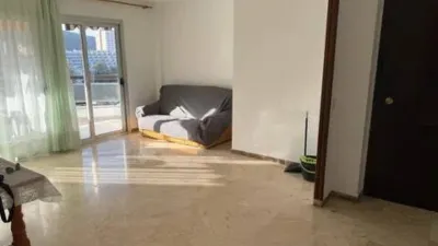 Apartment on Avenida Juan Carlos I photo 5