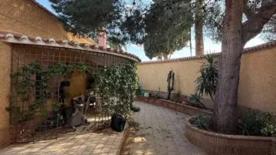 Rustic property in Cartagena photo 5