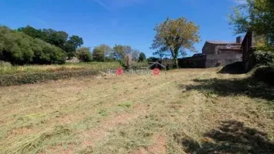 Rustic house in Carballo photo 10