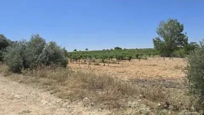 Rustic property in Villarrobledo photo 28