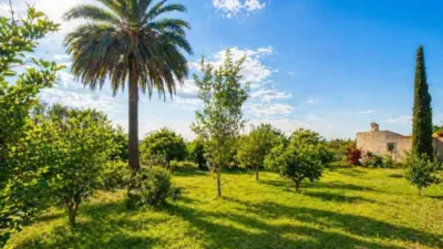 Terreno en venta en Catral - Vista 2