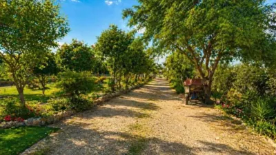Terreno en venta en Catral - Vista 4