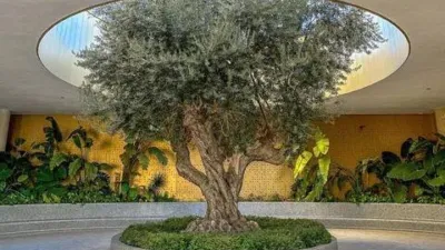Apartment in Platja de Ponent photo 34