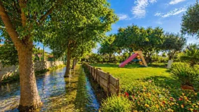 Terreno en venta en Catral - Més