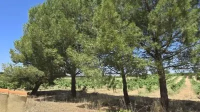 Rustic property in Villarrobledo photo 25