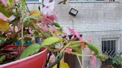 Casa en venta en Sada - Vista 3