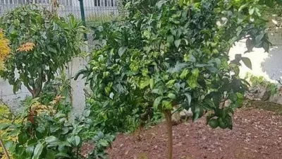 Casa en venta en Sada - Más