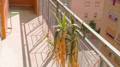 Apartment in la Vila Joiosa / Villajoyosa, la Torreta - Vista 2