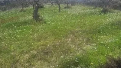 Terreno en venta en Teulada - Vista 2