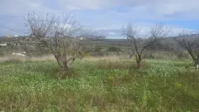Terreno en venta en Teulada - Vista 5