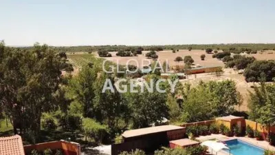 Rustic House in Pinares Llanos photo 14