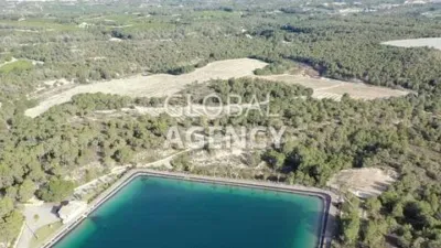 Rustic House in Centre-Port-Platja Llevant photo 20