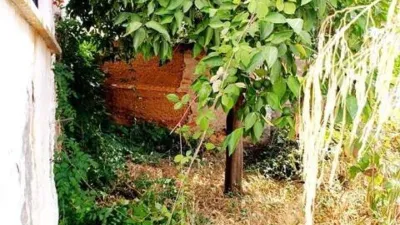 Rustic house in Galaroza photo 15