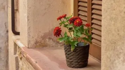 Townhouse in Pollença photo 4