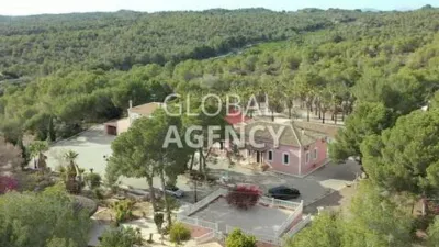 Rustic House in Centre-Port-Platja Llevant photo 25