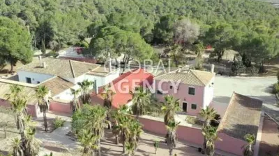 Rustic House in Centre-Port-Platja Llevant photo 27