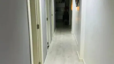 Apartment in Oliva photo 12