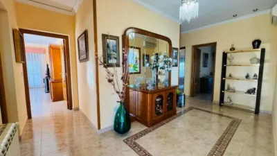 Chalet in Pedreguer photo 69