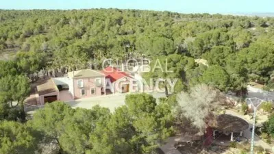 Rustic House in Centre-Port-Platja Llevant photo 29
