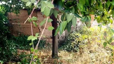 Rustic house in Galaroza photo 16