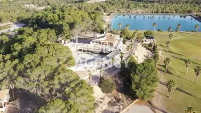 Rustic House in Centre-Port-Platja Llevant photo 9
