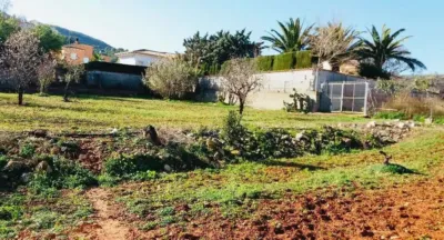 Chalet in Muro de Alcoy photo 20