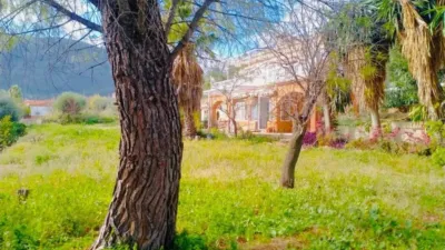 Casa - Más