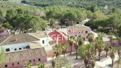 Rustic House in Centre-Port-Platja Llevant photo 28