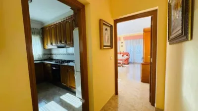 Chalet in Pedreguer photo 65
