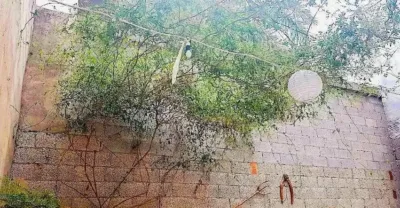 Casa - Vista 3