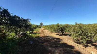 Casa - Més