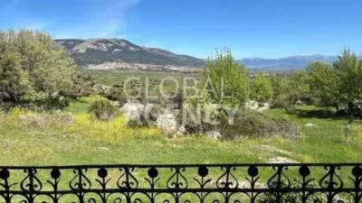 Rustic House in Centro-Parque de La Manguilla photo 9