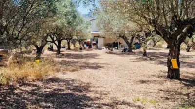 Chalet in Parcent photo 15