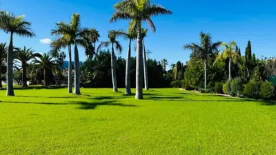 Casa - Vista 4